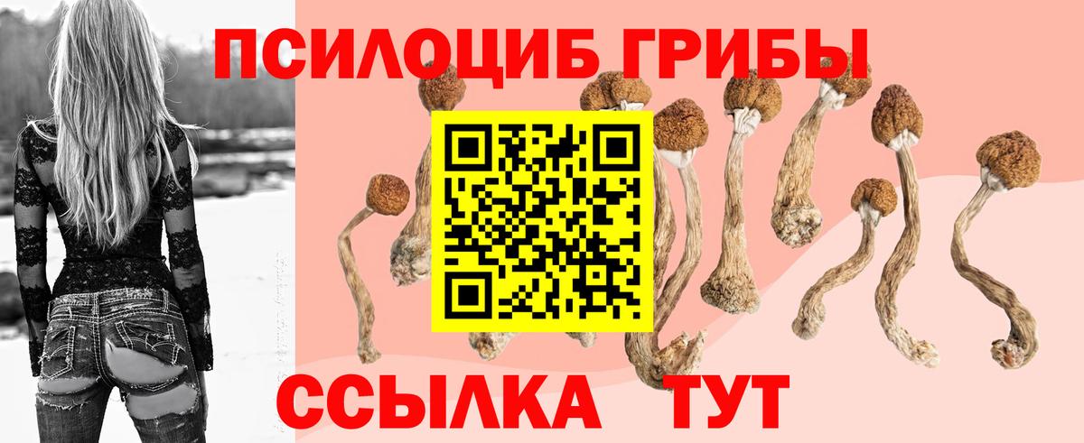 Чапаевск  Галлюциногенные грибы Psilocybe  Вход с VPN  Галлюциногенные грибы Psilocybine cubensis 